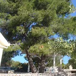 House Blue Lagoon