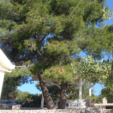 House Blue Lagoon